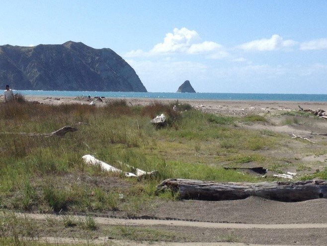 Outreach 2016 2019 Coastal Restoration Trust of New Zealand