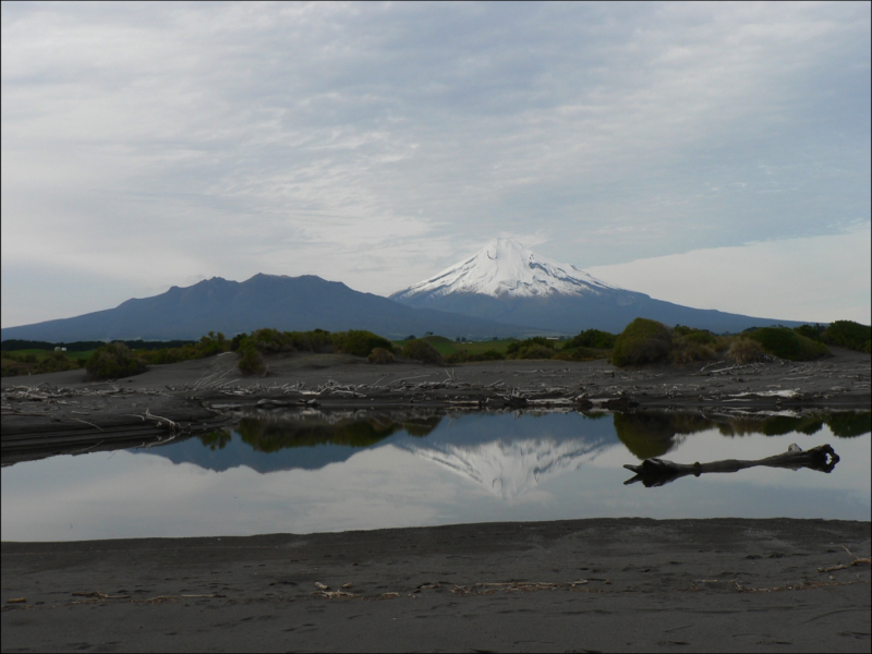 New Plymouth 2014 • Coastal Restoration Trust of New Zealand